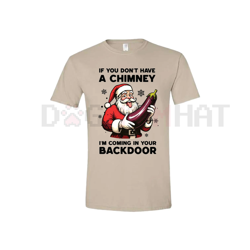 Backdoor Santa Christmas Joke T-Shirt – Naughty Holiday Slogan Tee